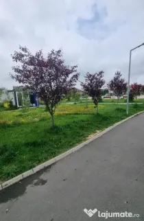 Garsoniera - Popesti Leordeni - Str Drumul Fermei