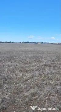 Vand Teren Intravilan Zona Selgros-Preajba 5000mp 