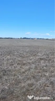 Vand Teren Intravilan Zona Selgros-Preajba 5000mp