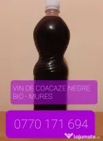 Vin din coacaze negre ecologice, bio traditional.