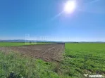 Teren de 8700 mp - extravilan - Bod, Brasov