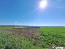 Teren de 8700 mp - extravilan - Bod, Brasov