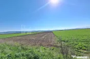 Teren de 8700 mp - extravilan - Bod, Brasov