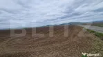Teren agricol - 18000 mp - Harman - Dn 11 - pretabil agricol