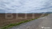 Teren agricol - 18000 mp - Harman - Dn 11 - pretabil agricol 
