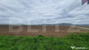 Teren agricol - 18000 mp - Harman - Dn 11 - pretabil agricol 