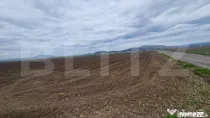 Teren agricol - 18000 mp - Harman - Dn 11 - pretabil agricol