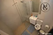 Apartament 2 camere Hanul cu Peste 