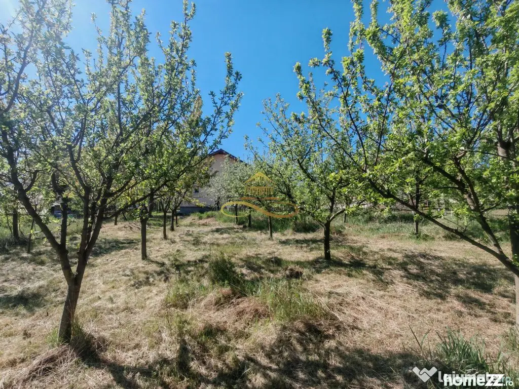 De vânzare: Casa noua si 1 ha teren la doar 30 minute de Bacău - Rosiori (Bacau)