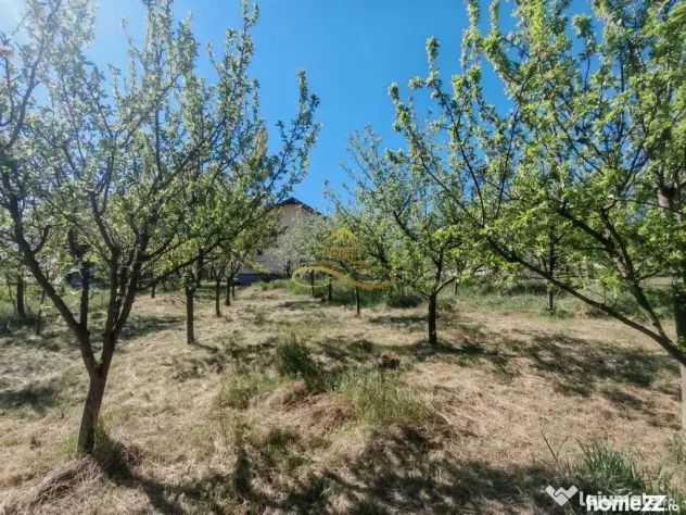 De vânzare: Casa noua si 1 ha teren la doar 30 minute de Bacău - Rosiori (Bacau)