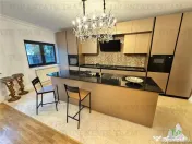 Vila pretabila rezidenta/office la Bulevard Iancu Nicolae 