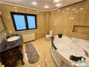 Vila pretabila rezidenta/office la Bulevard Iancu Nicolae 