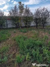 Teren autorizat pentru constructie 490mp 