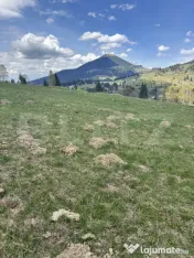 Teren în Vatra Dornei, str Roșu, 8450 mp, extravilan + int 