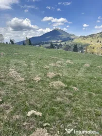 Teren în Vatra Dornei, str Roșu, 8450 mp, extravilan + int