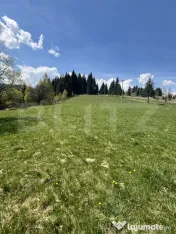 Teren în Vatra Dornei, str Roșu, 8450 mp, extravilan + int 