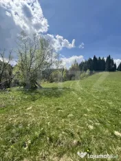 Teren în Vatra Dornei, str Roșu, 8450 mp, extravilan + int 