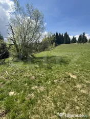 Teren în Vatra Dornei, str Roșu, 8450 mp, extravilan + int 