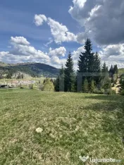 Teren în Vatra Dornei, str Roșu, 8450 mp, extravilan + int 