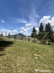 Teren în Vatra Dornei, str Roșu, 8450 mp, extravilan + int 