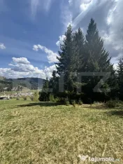 Teren în Vatra Dornei, str Roșu, 8450 mp, extravilan + int 