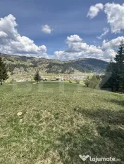 Teren în Vatra Dornei, str Roșu, 8450 mp, extravilan + int 