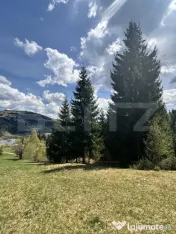 Teren în Vatra Dornei, str Roșu, 8450 mp, extravilan + int 