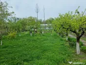 TEREN INTRAVILAN PREMIUM, ZONA 9 MAI, SUPRAFATA 1751 MP, IES 