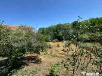 EXCLUSIVITATE! Casă tradițională cu teren 1513 mp, cu ane