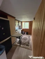 Oportunitate în Baia Sprie – Două case pe același teren 