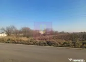 Săbăreni, teren intravilan 8800 mp, pe DJ 602, pretabil... 