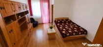 Garsoniera de vanzare, 30 mp, zona Brazda lui Novac