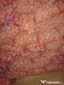 Vând cartofi de sămânță