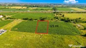 Teren Bragadiru langa A0 - PUZ aprobat, vizibilitate autostr 