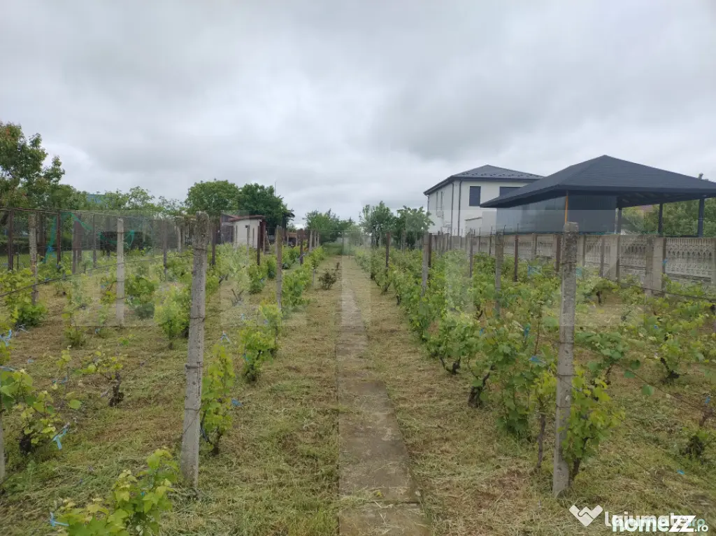 Teren utilități, 1.236 mp, 16.6 m deschidere, zona Cârcea