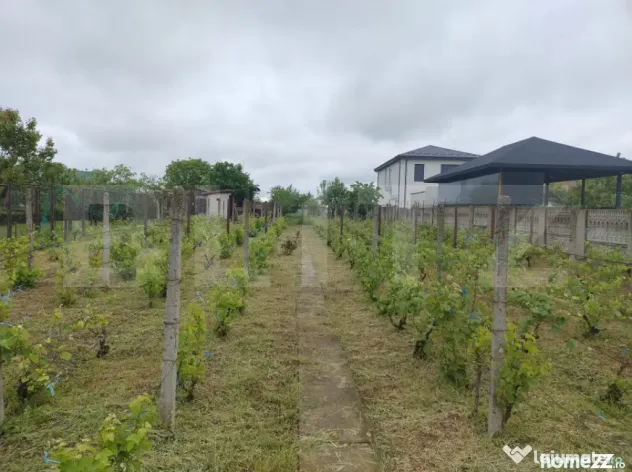 Teren utilități, 1.236 mp, 16.6 m deschidere, zona Cârcea