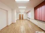 Vila de l Pache Protopopescu l Curte