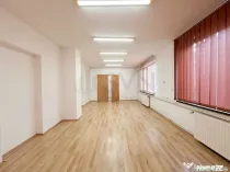 Vila de l Pache Protopopescu l Curte