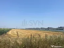 Teren Intravilan 10500 mp Clinceni