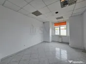 Vila de inchiriat Mosilor 