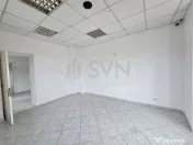 Vila de inchiriat Mosilor 