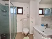 De vânzare casă tip duplex Branesti - Pasarea 