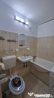Obor stefan cel mare aleea deda 