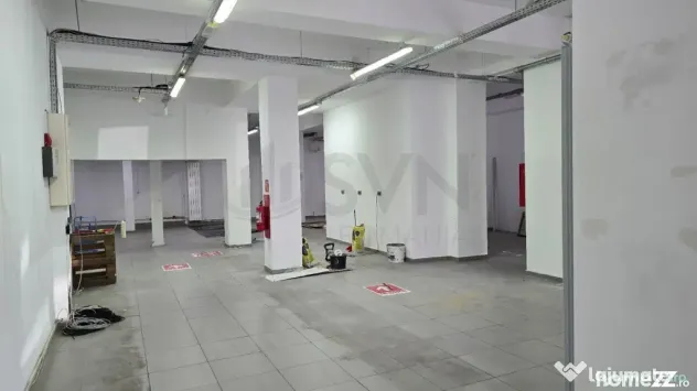 Spatiu comercial Ion Mihalache