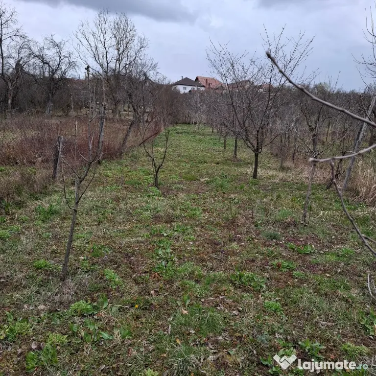 Casa Comuna Balanesti sat Voitestii din Vale judetul Gorj