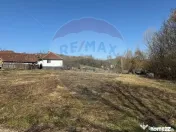 Casa in judetul Arad, Dumbravita 