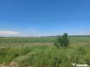 Teren intravilan, 12000 mp, Ciorogarla, jud. Ilfov 