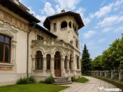 Vila Monument Istoric Arhitectura Unica 