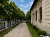 Vila Monument Istoric Arhitectura Unica 