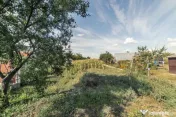 Tartasesti,str. Principala, 3040 mp teren, P+1, casa 1998, d 